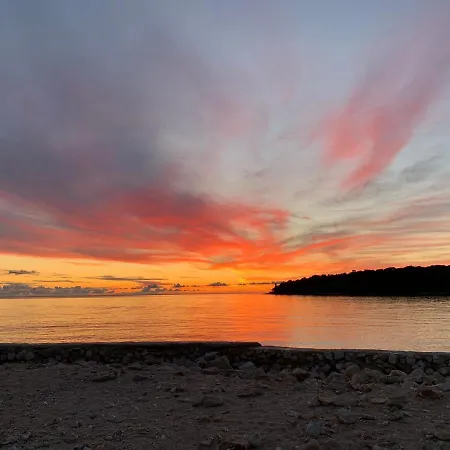 Kemp Harmonia Mobile *