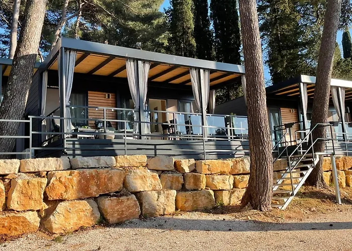 Harmonia Mobile * רוביני